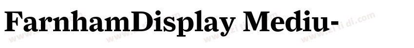 FarnhamDisplay Mediu字体转换 FarnhamDisplay Mediu字体转换